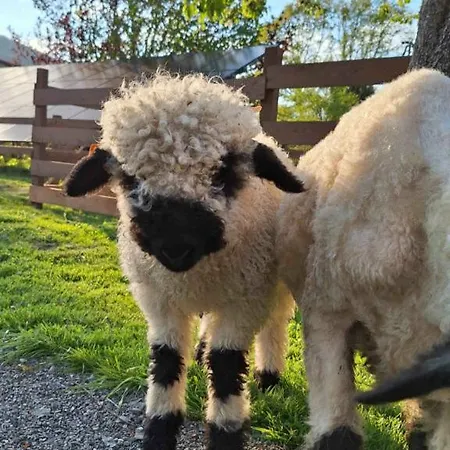 Folwarczek I ファームステイ ウストロン