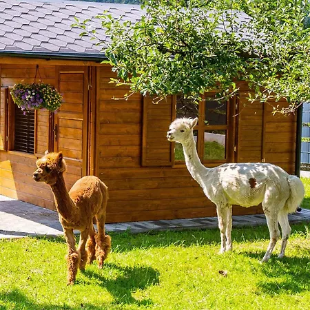 Folwarczek I בית חווה *