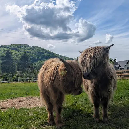 בית חווה Folwarczek I אוסטראון