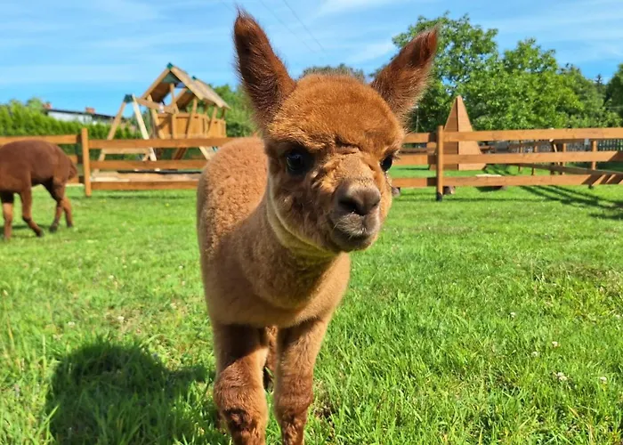 Folwarczek I * Ustroň