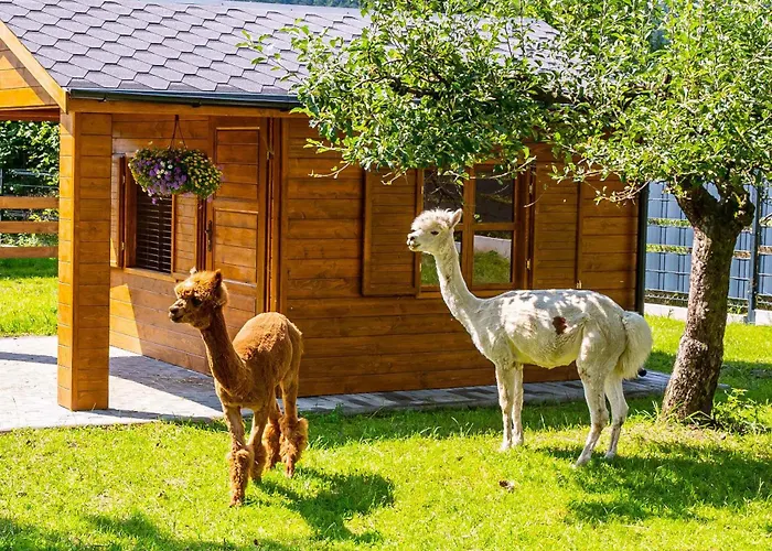 Folwarczek I Farma *