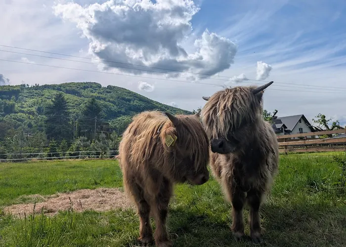 בית חווה Folwarczek I אוסטראון
